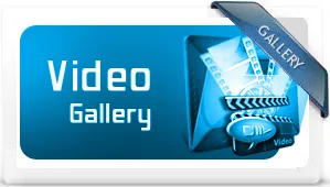 Video Gallery